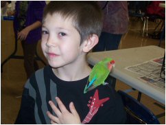 lovebird
